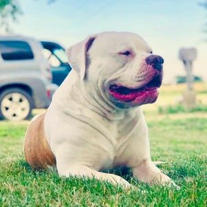 Meet your Posher, Beth